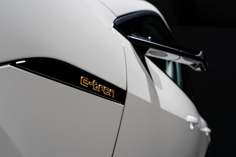 Детали экстерьера Audi e-tron 55 Quattro 2019 года  (WW) (фото 8 из 452)
